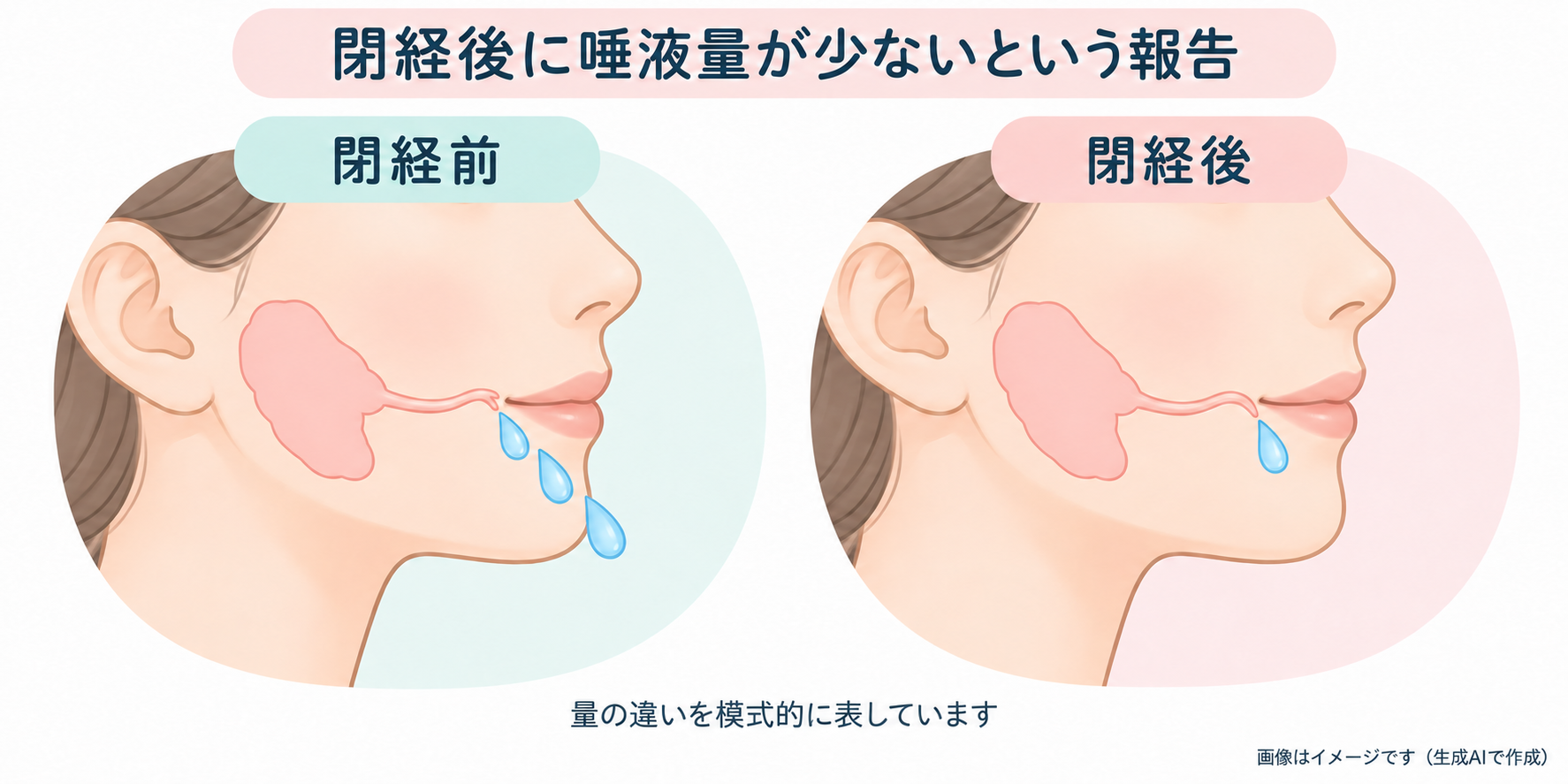 閉経前後の唾液量の違いを模式的に表した図